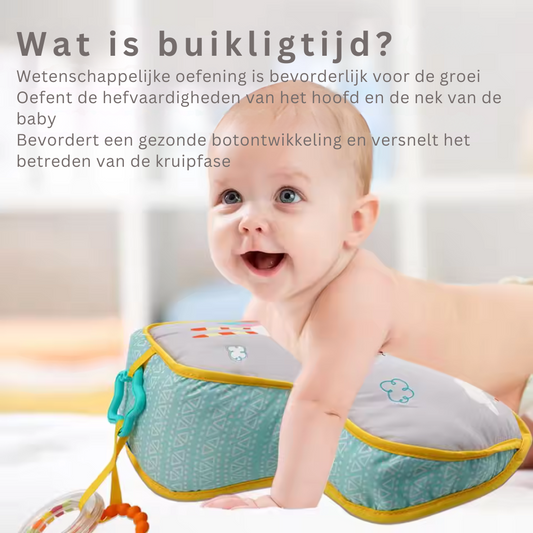 Belly Time Support Cushion