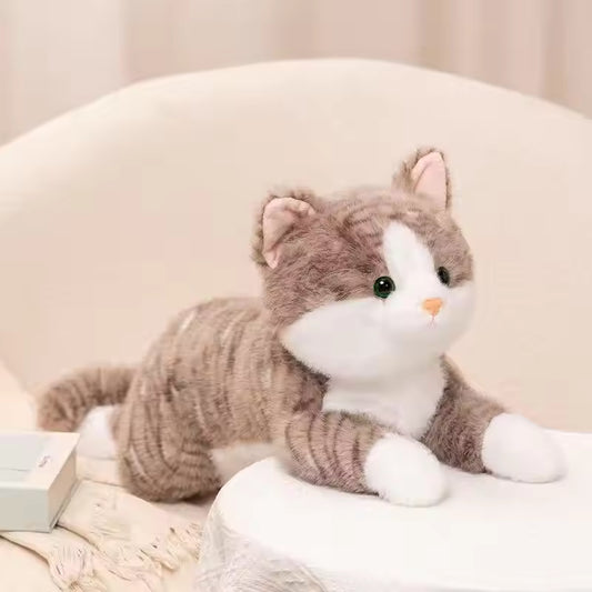 Cat Cuddle Toy