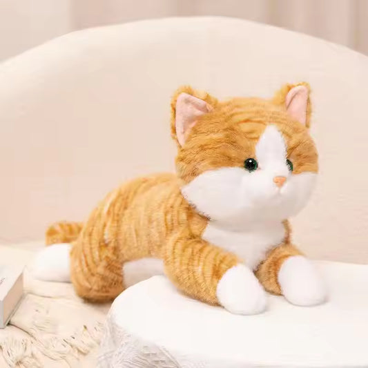 Cat Cuddle Toy