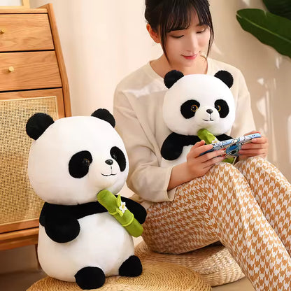 Panda Cuddly Toys
