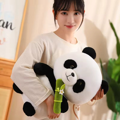 Panda Cuddly Toys
